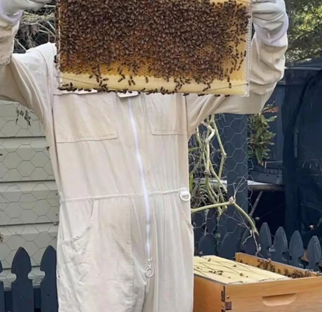 Guest house Bee House Hotel Dinmore